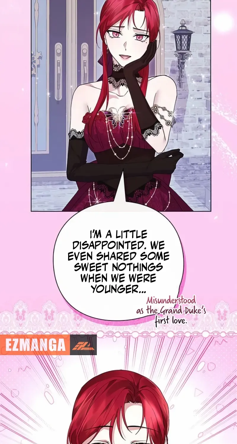 I will disappear for you, Your Grace the Grand Duke Chapter 11 page 8 - 