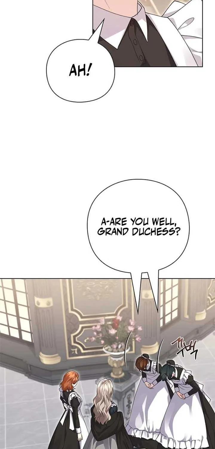 I will disappear for you, Your Grace the Grand Duke Chapter 13 page 67 - 