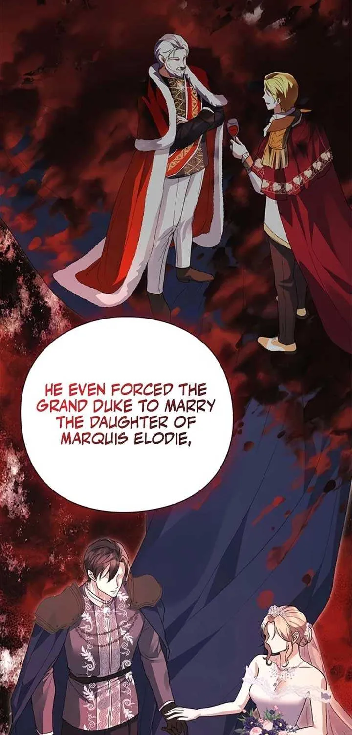 I will disappear for you, Your Grace the Grand Duke Chapter 15 page 47 - 