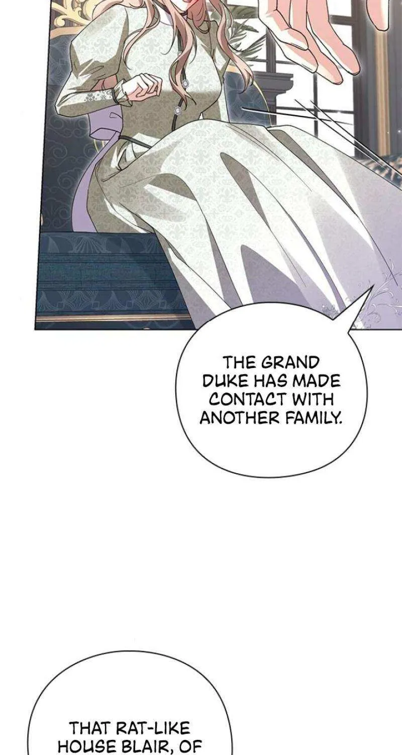 I will disappear for you, Your Grace the Grand Duke Chapter 17 page 28 - 