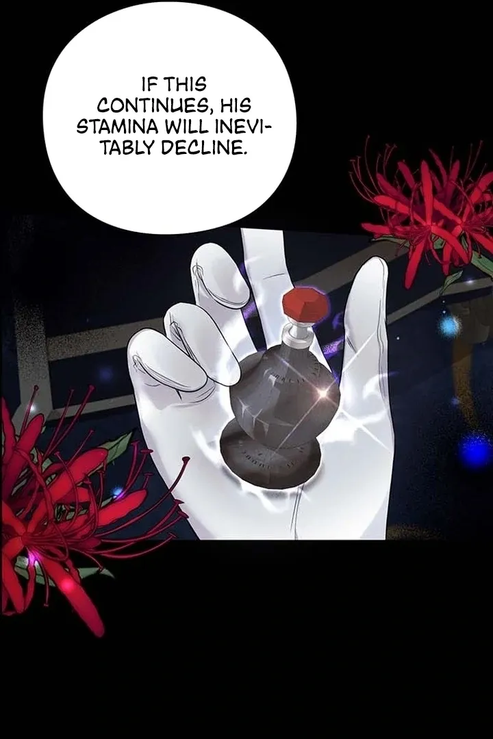 I will disappear for you, Your Grace the Grand Duke Chapter 2 page 15 - 