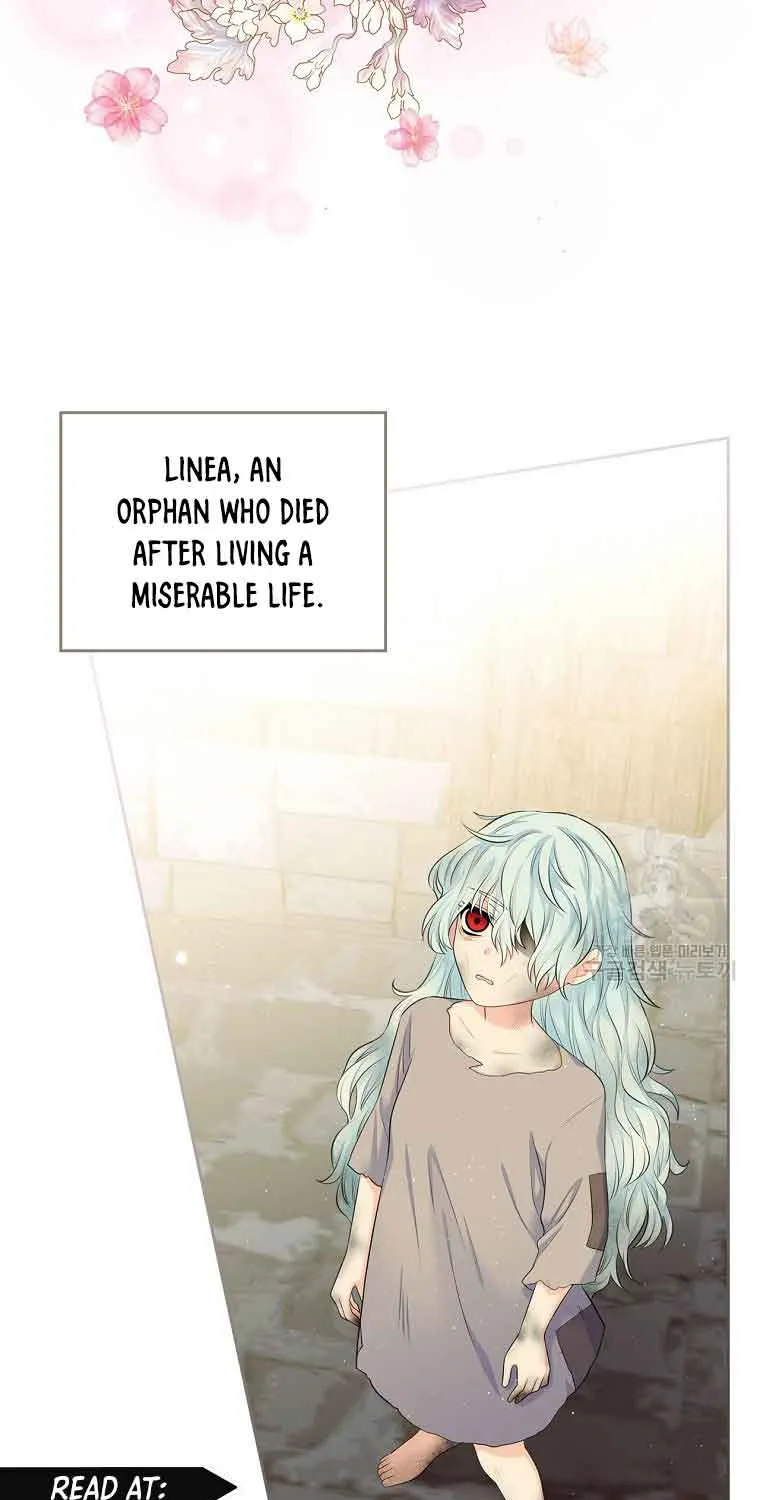 I Will Divorce the Female Lead’s Siscon Brother Chapter 1 page 41 - 