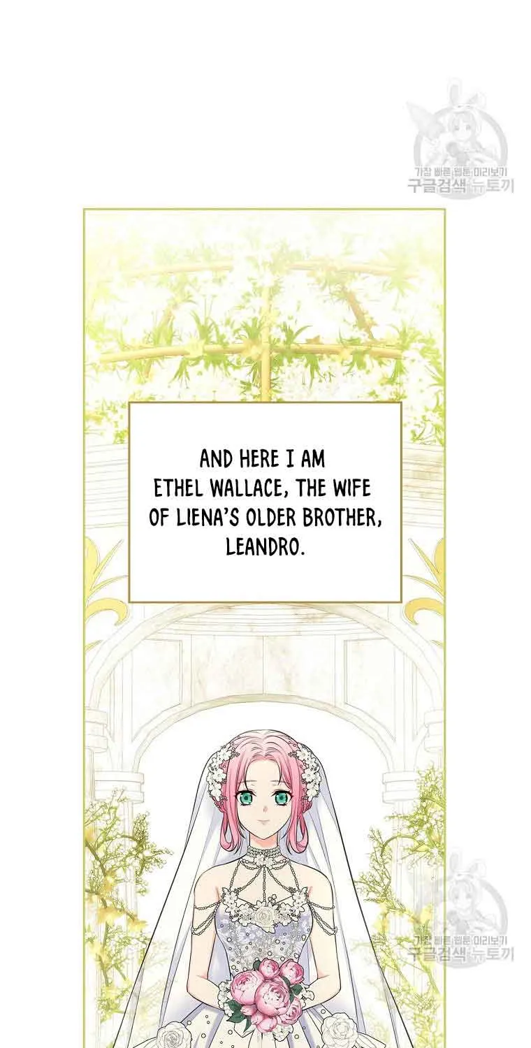 I Will Divorce the Female Lead’s Siscon Brother Chapter 1 page 48 - 