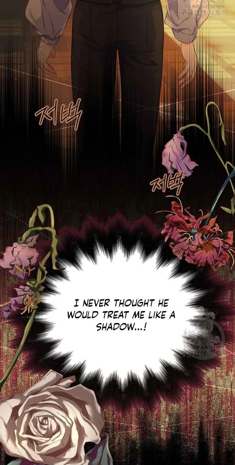 I Will Divorce the Female Lead’s Siscon Brother Chapter 1 page 68 - 