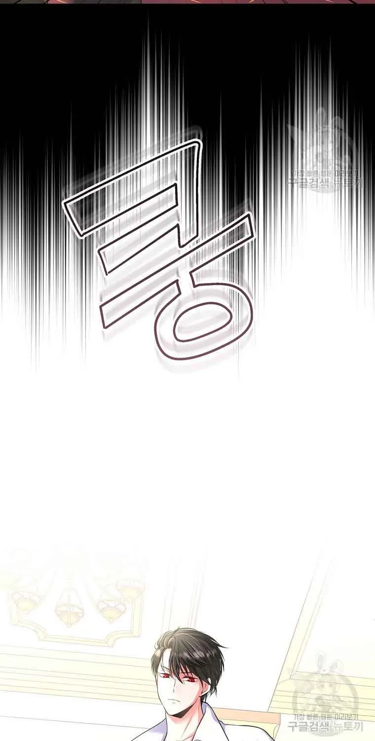 I Will Divorce the Female Lead’s Siscon Brother Chapter 10 page 18 - 