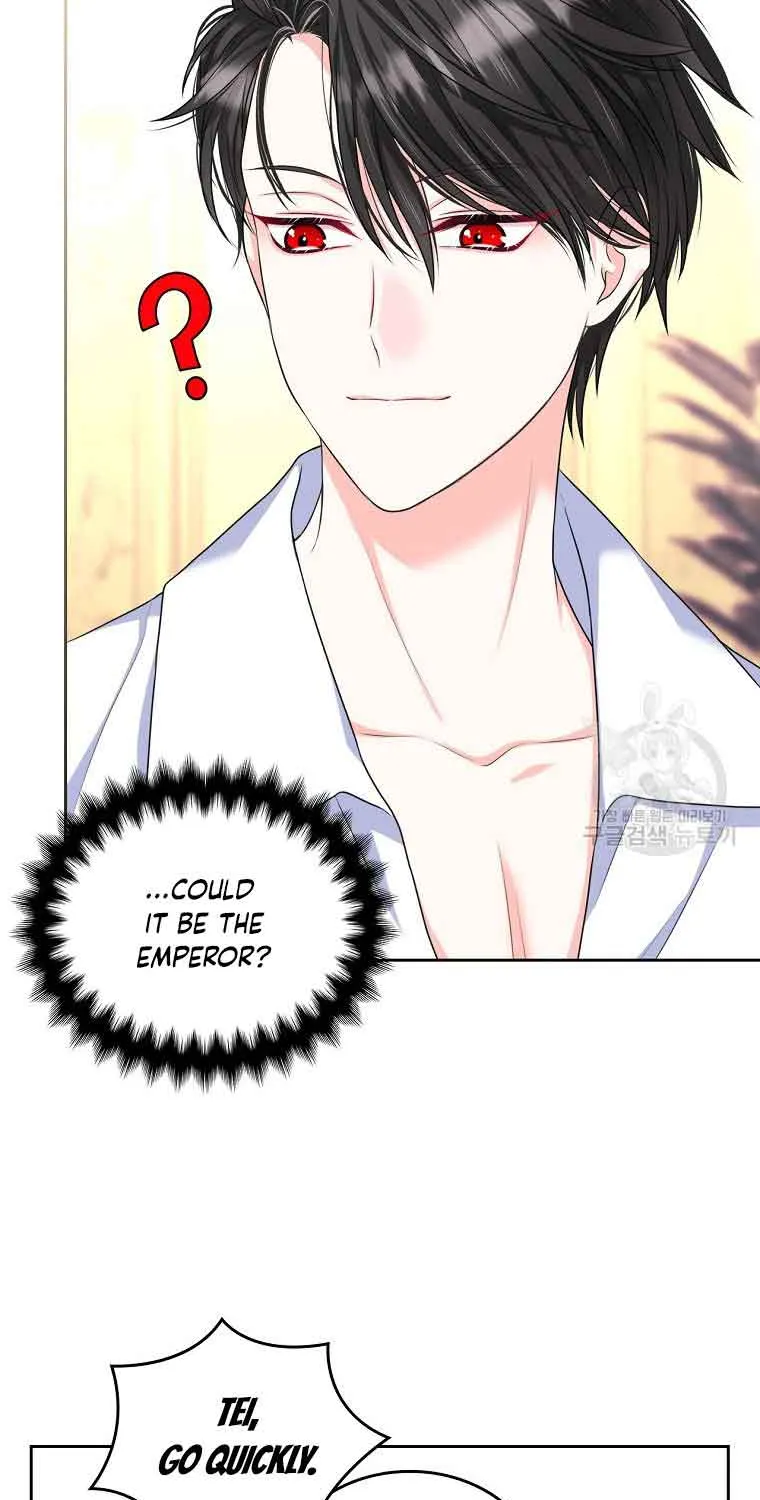 I Will Divorce the Female Lead’s Siscon Brother Chapter 10 page 38 - 