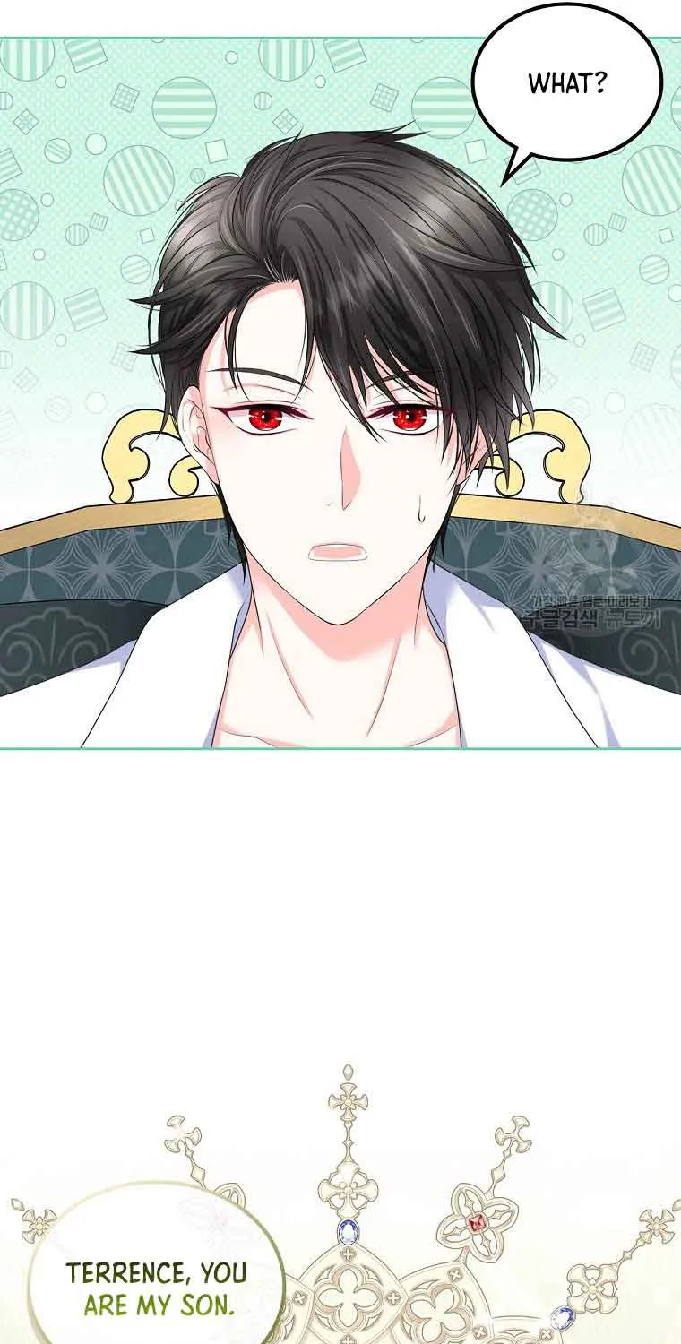 I Will Divorce the Female Lead’s Siscon Brother Chapter 10 page 65 - 