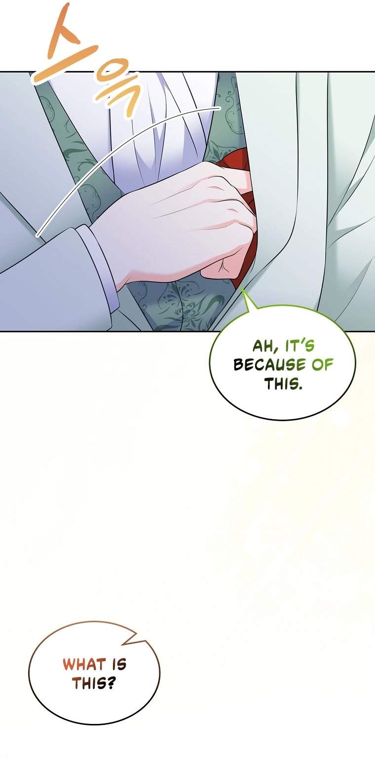 I Will Divorce the Female Lead’s Siscon Brother Chapter 102 page 42 - 