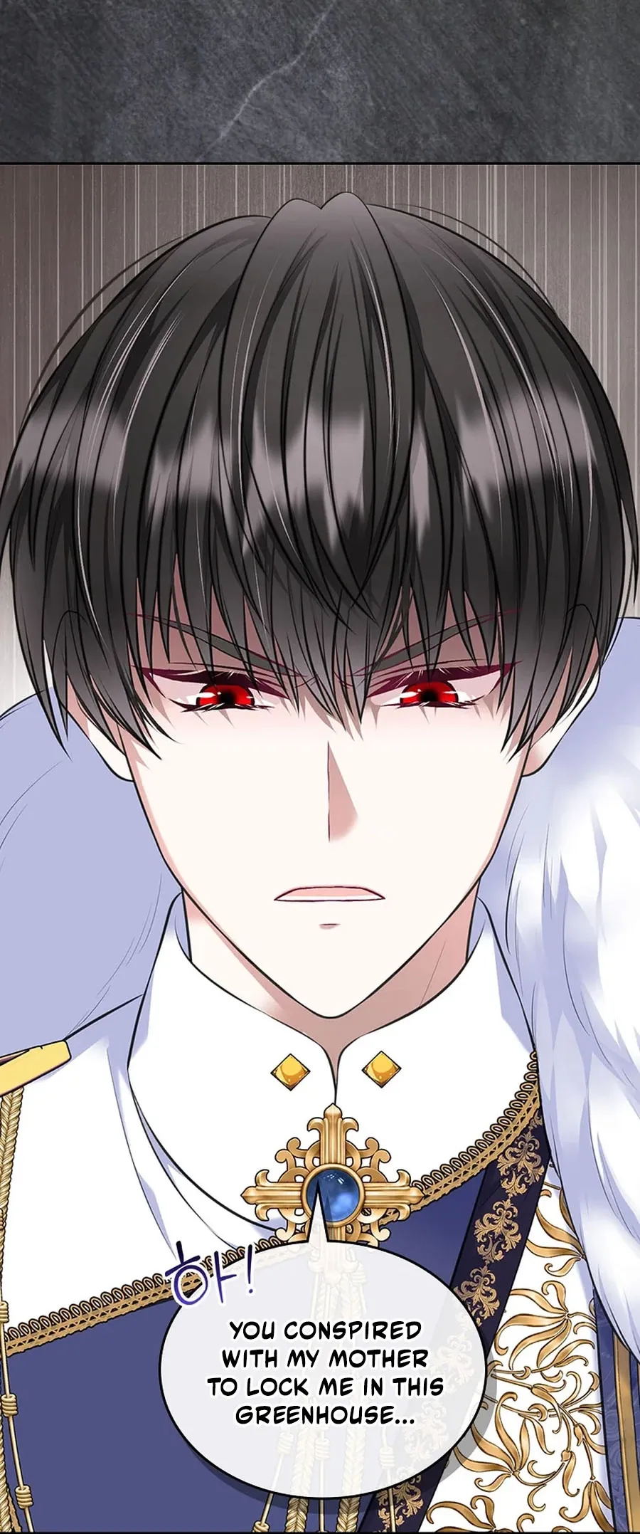 I Will Divorce the Female Lead’s Siscon Brother Chapter 103 page 9 - 
