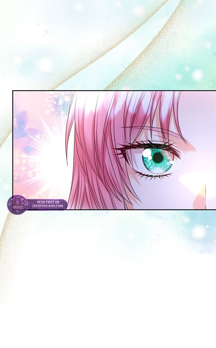 I Will Divorce the Female Lead’s Siscon Brother Chapter 109 page 67 - 