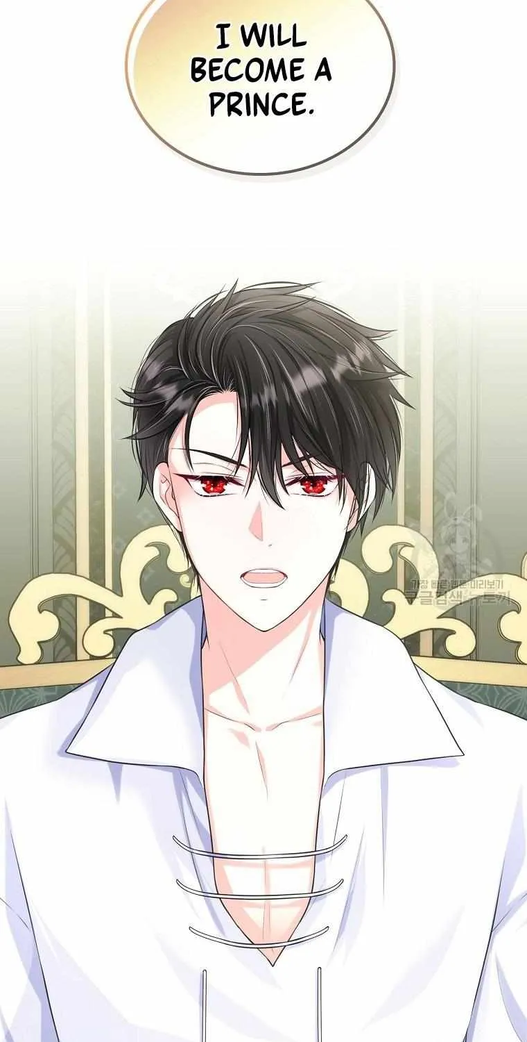 I Will Divorce the Female Lead’s Siscon Brother Chapter 11 page 16 - 