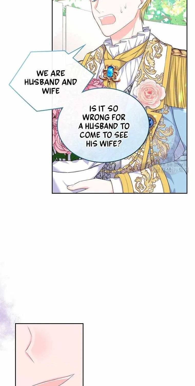 I Will Divorce the Female Lead’s Siscon Brother Chapter 12 page 20 - 