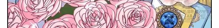 I Will Divorce the Female Lead’s Siscon Brother Chapter 12 page 9 - 
