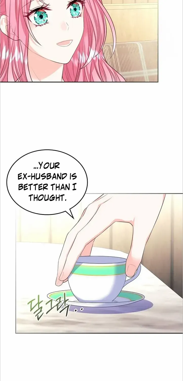 I Will Divorce the Female Lead’s Siscon Brother Chapter 13 page 45 - 