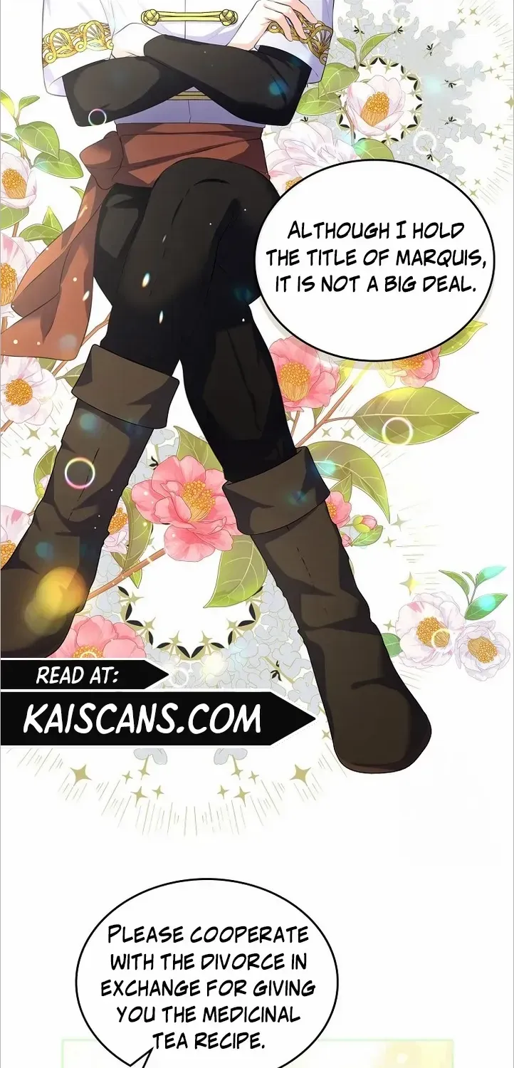 I Will Divorce the Female Lead’s Siscon Brother Chapter 14 page 17 - 