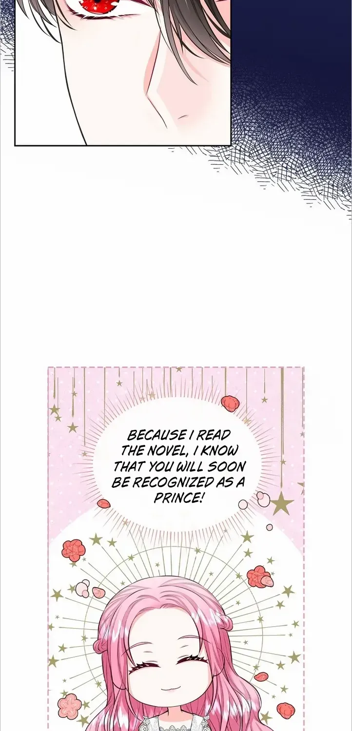 I Will Divorce the Female Lead’s Siscon Brother Chapter 14 page 25 - 