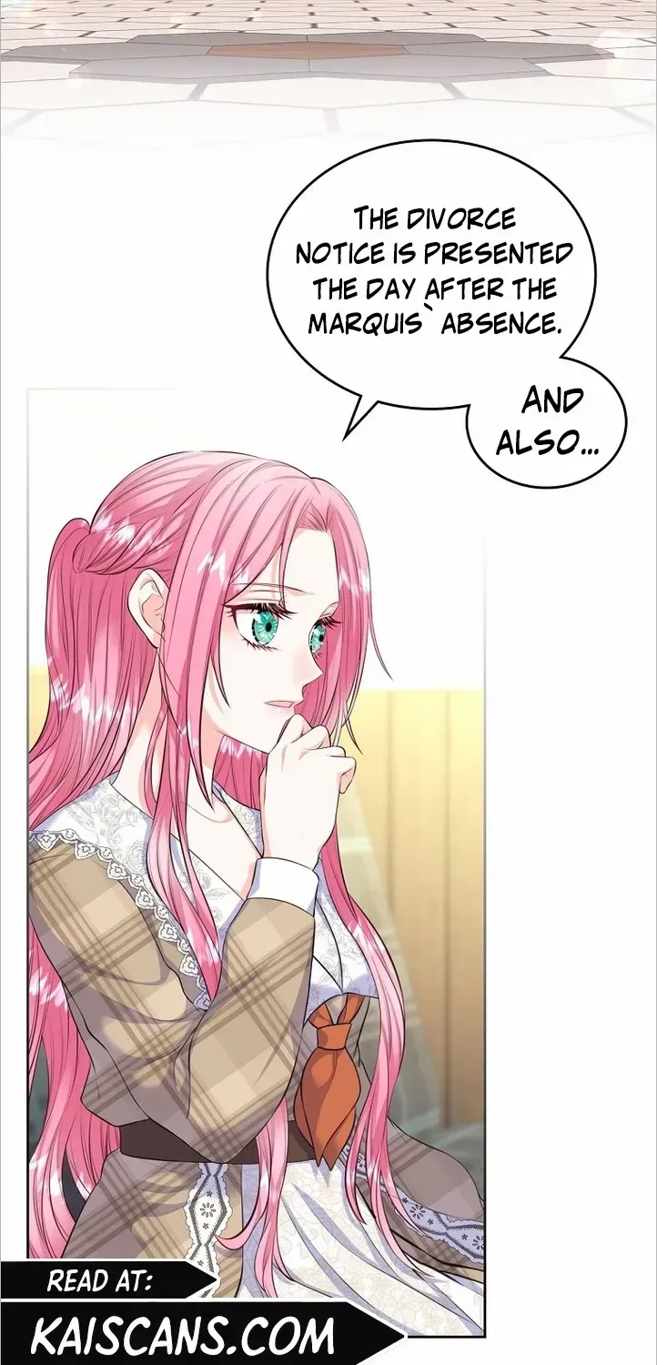 I Will Divorce the Female Lead’s Siscon Brother Chapter 14 page 27 - 