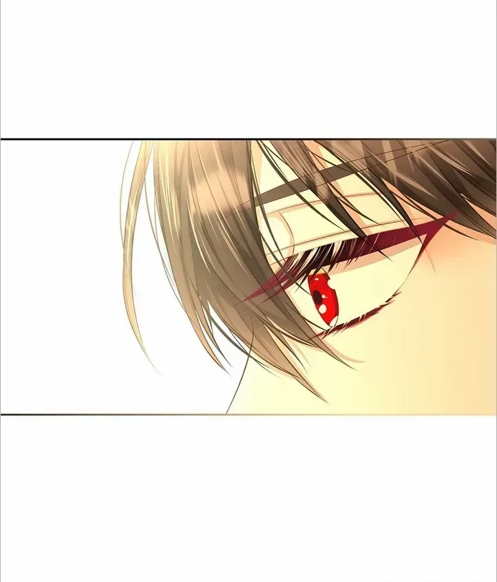 I Will Divorce the Female Lead’s Siscon Brother Chapter 14 page 48 - 