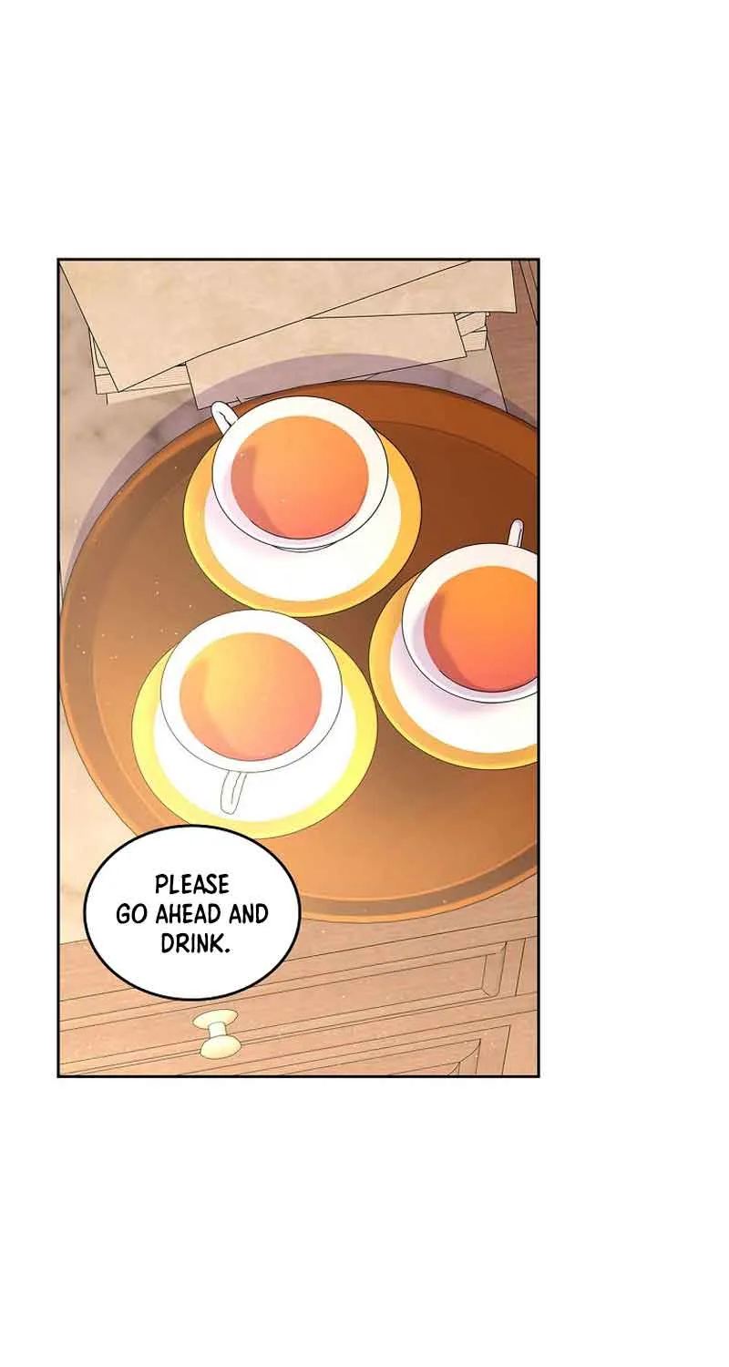 I Will Divorce the Female Lead’s Siscon Brother Chapter 15 page 17 - 