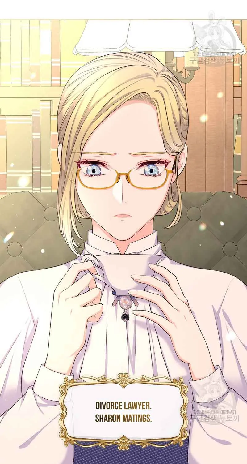 I Will Divorce the Female Lead’s Siscon Brother Chapter 15 page 19 - 
