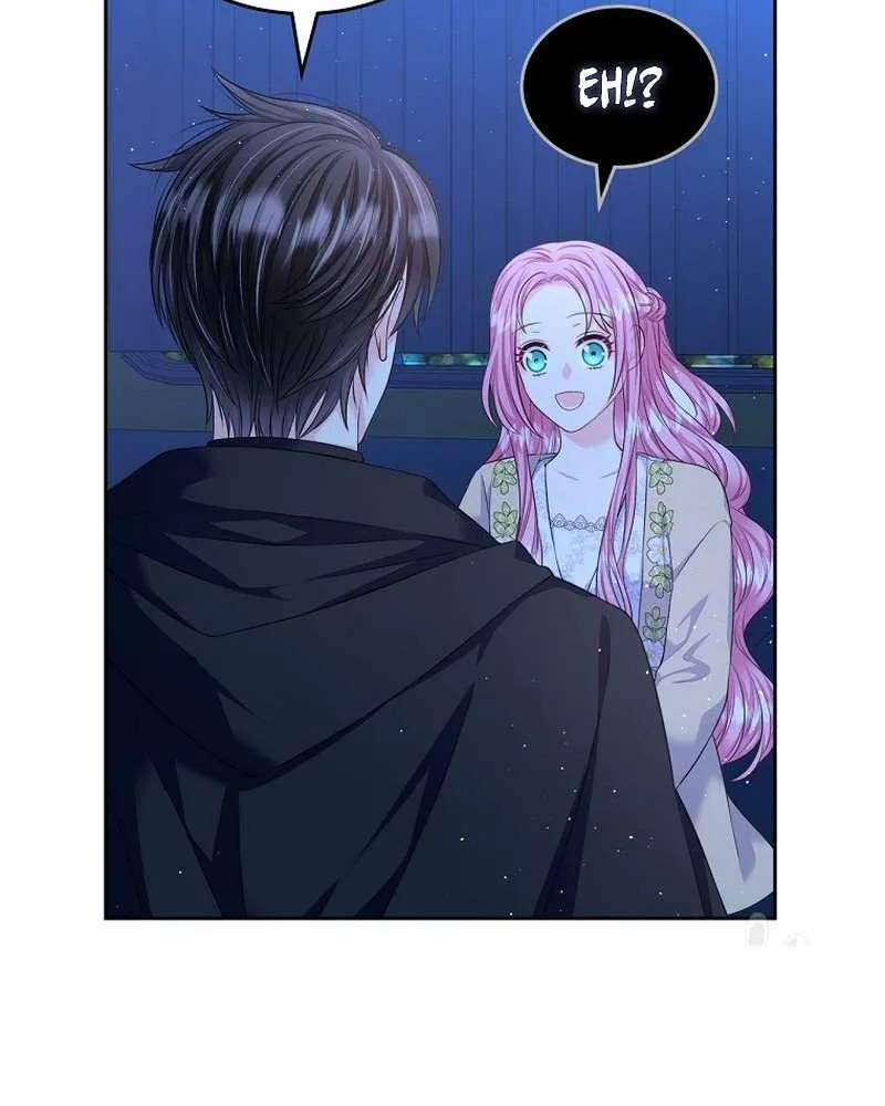 I Will Divorce the Female Lead’s Siscon Brother Chapter 16 page 29 - 