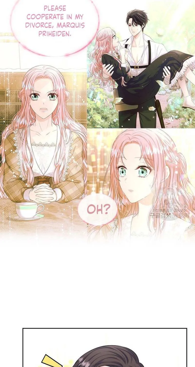 I Will Divorce the Female Lead’s Siscon Brother Chapter 16 page 44 - 