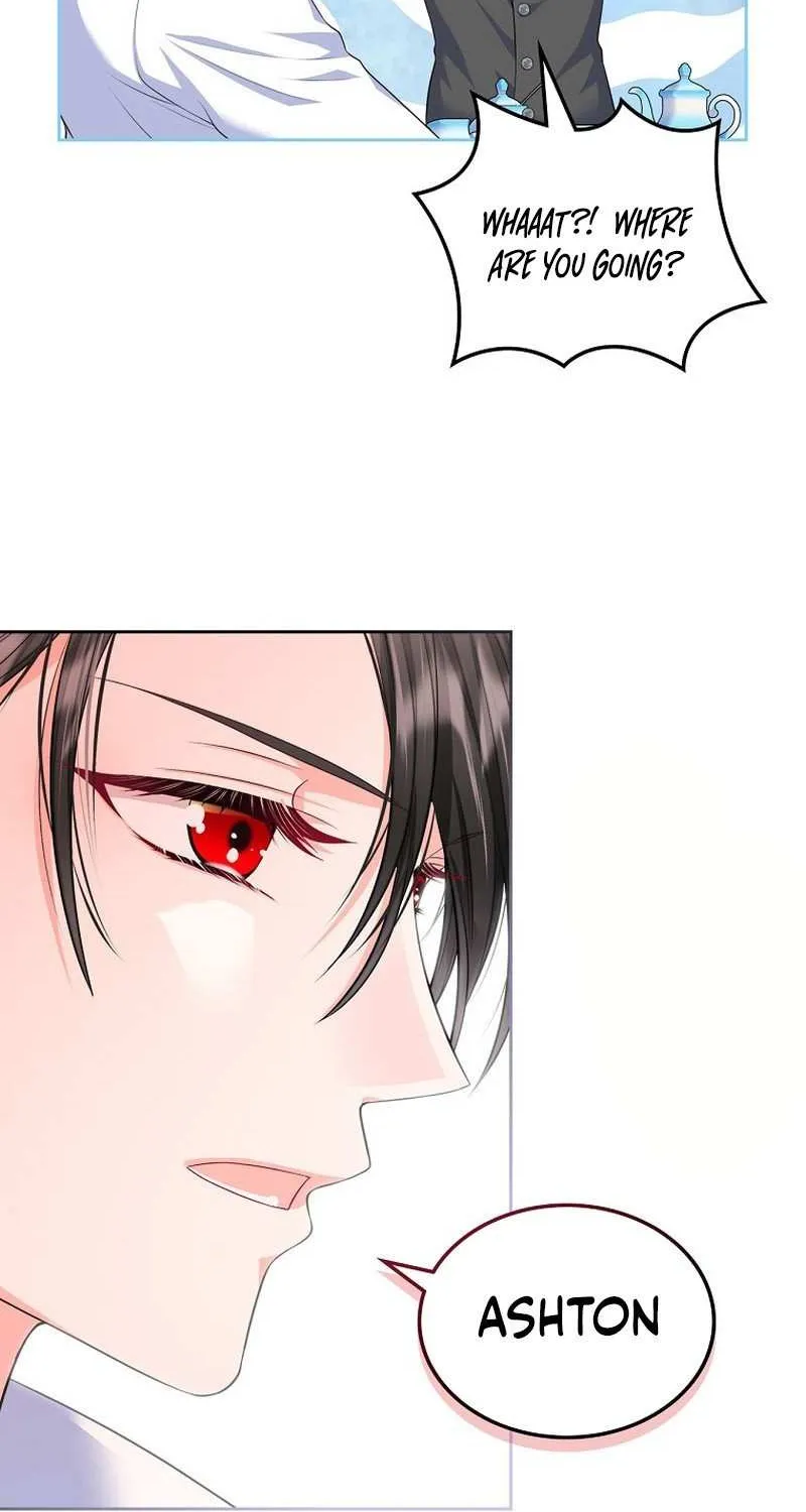 I Will Divorce the Female Lead’s Siscon Brother Chapter 16 page 47 - 
