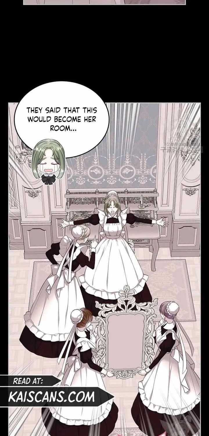 I Will Divorce the Female Lead’s Siscon Brother Chapter 17 page 17 - 