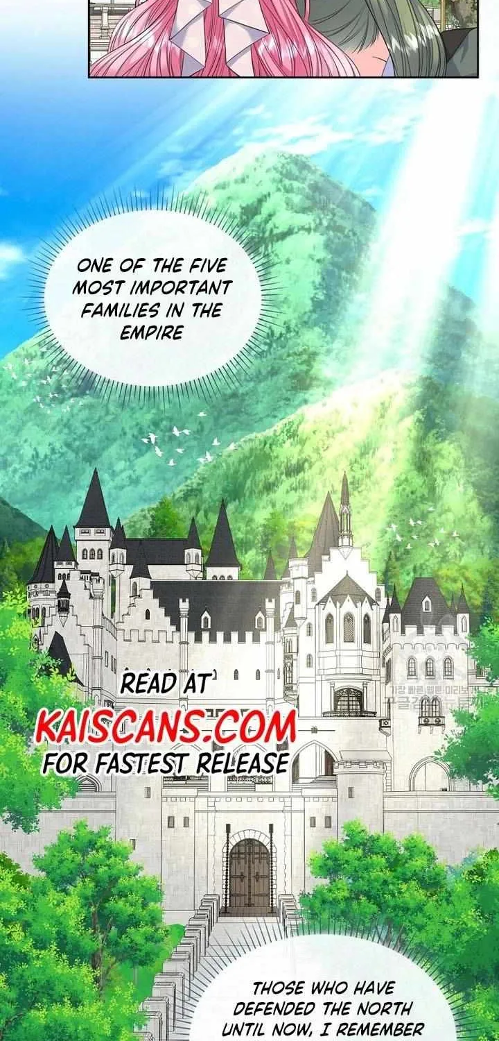I Will Divorce the Female Lead’s Siscon Brother Chapter 17 page 27 - 