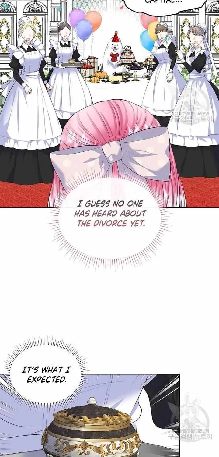 I Will Divorce the Female Lead’s Siscon Brother Chapter 17 page 34 - 
