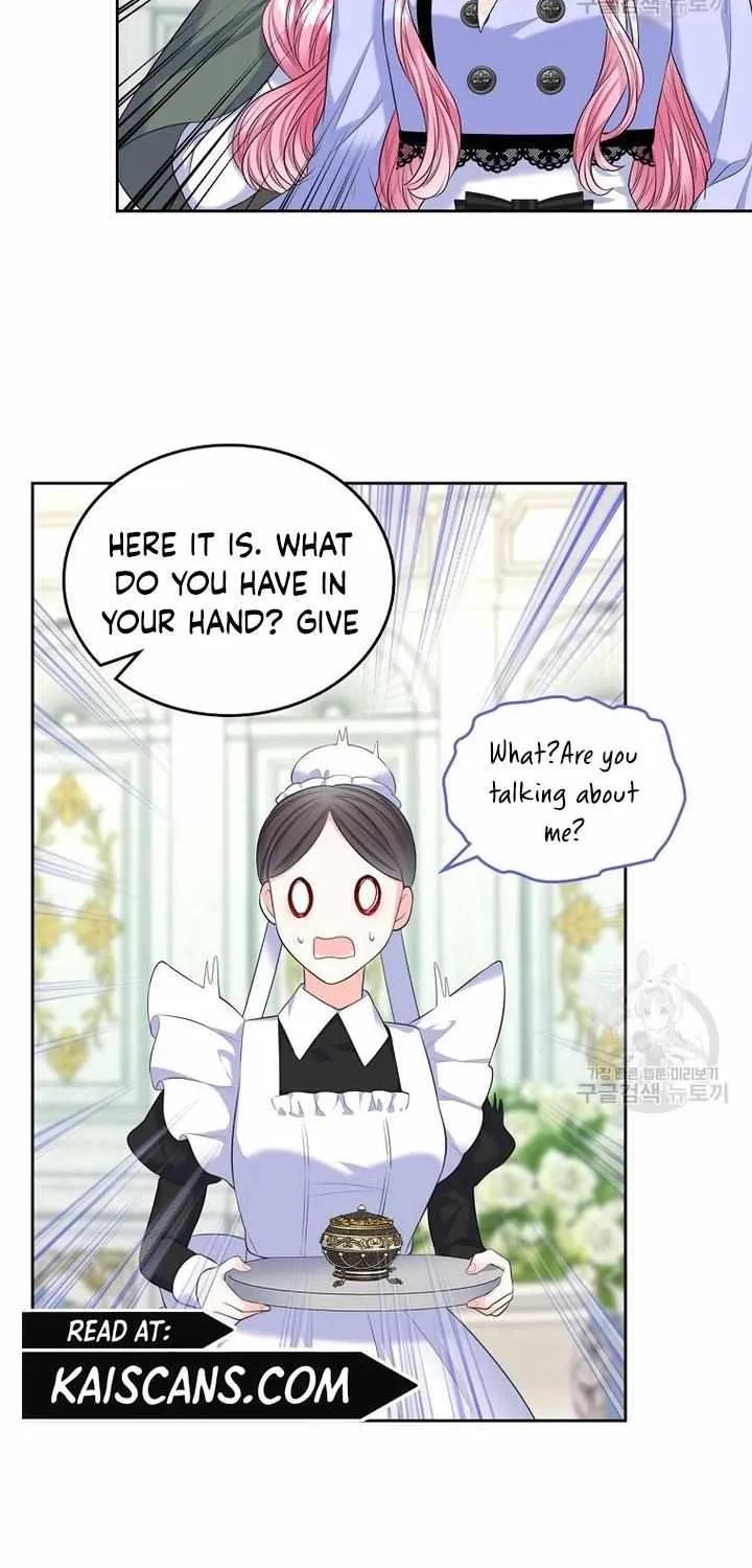 I Will Divorce the Female Lead’s Siscon Brother Chapter 17 page 45 - 