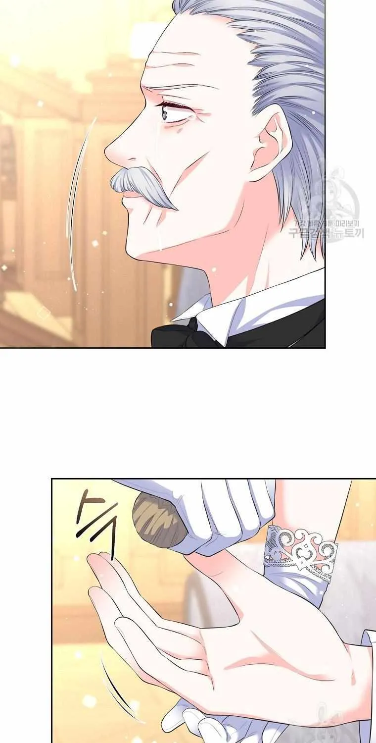 I Will Divorce the Female Lead’s Siscon Brother Chapter 20 page 27 - 