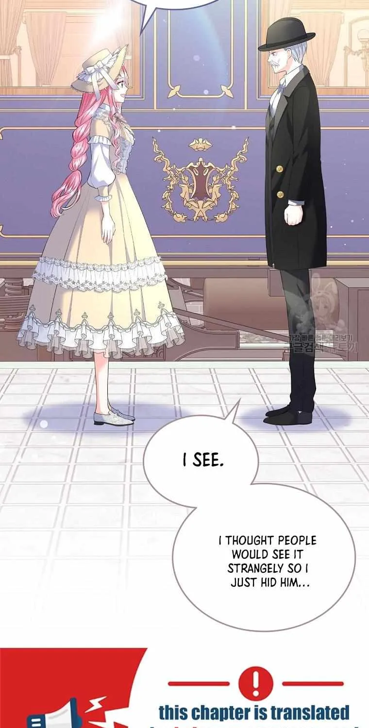 I Will Divorce the Female Lead’s Siscon Brother Chapter 20 page 47 - 