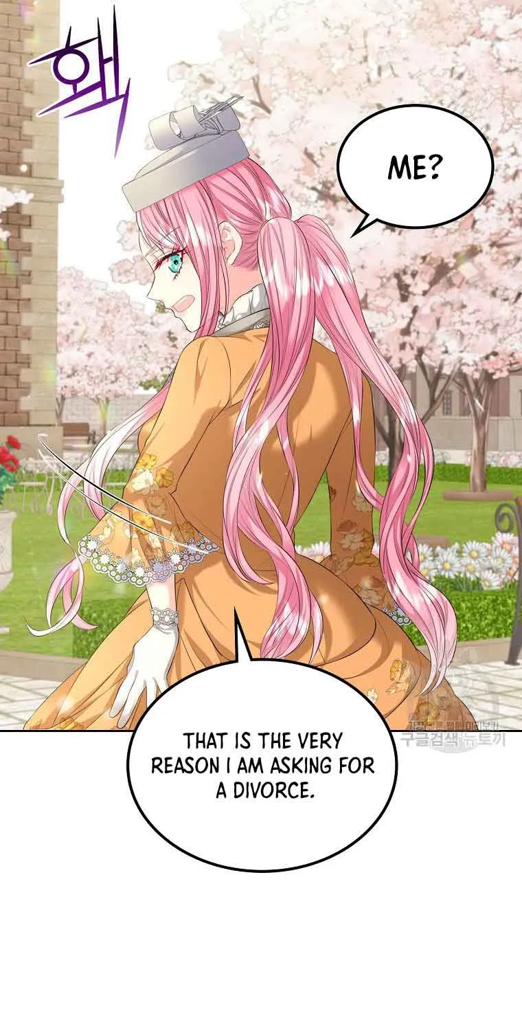 I Will Divorce the Female Lead’s Siscon Brother Chapter 21 page 18 - 