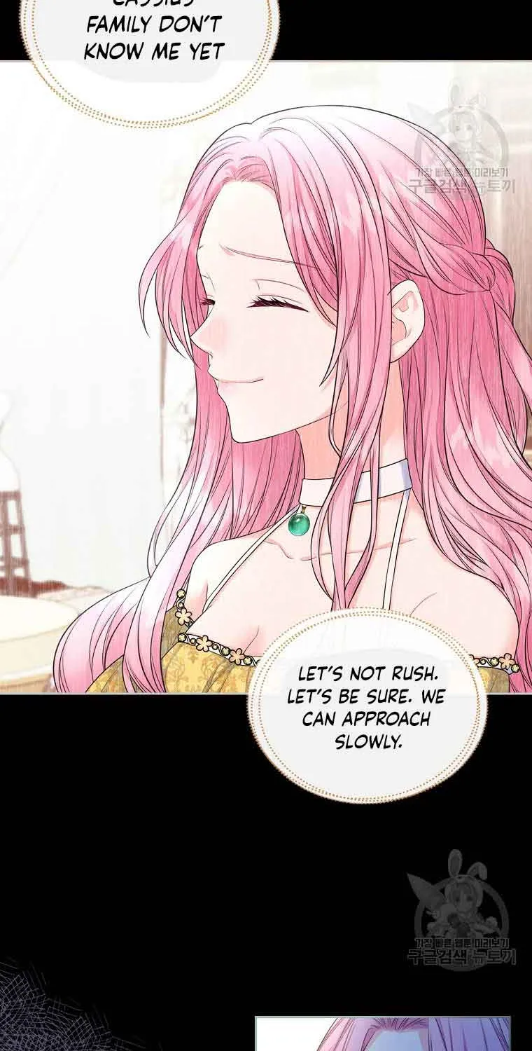 I Will Divorce the Female Lead’s Siscon Brother Chapter 3 page 25 - 