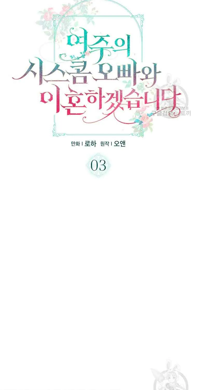 I Will Divorce the Female Lead’s Siscon Brother Chapter 3 page 29 - 