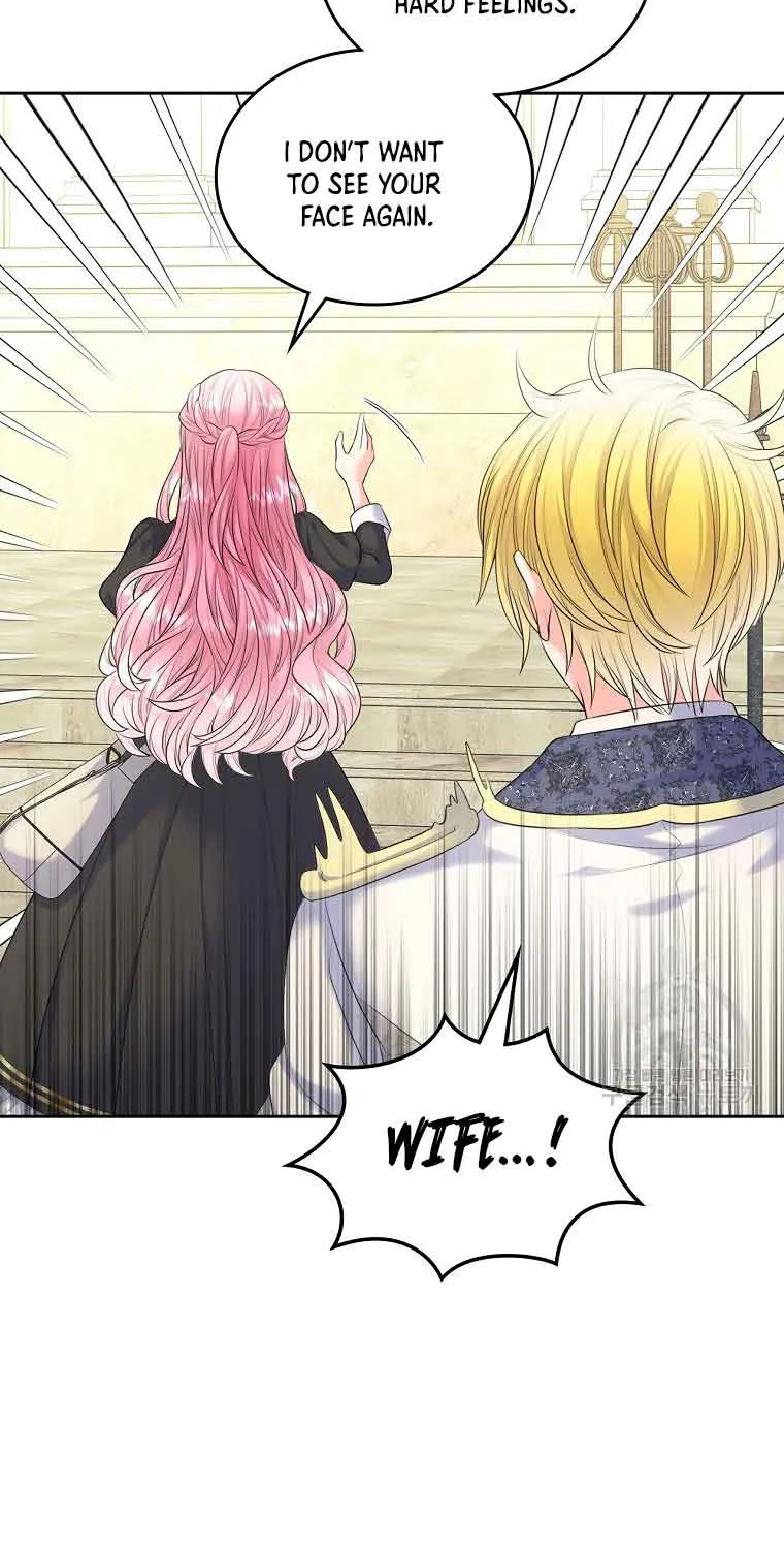I Will Divorce the Female Lead’s Siscon Brother Chapter 4 page 20 - 
