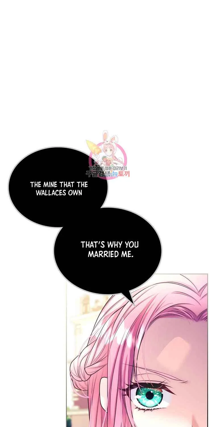 I Will Divorce the Female Lead’s Siscon Brother Chapter 5 page 2 - 