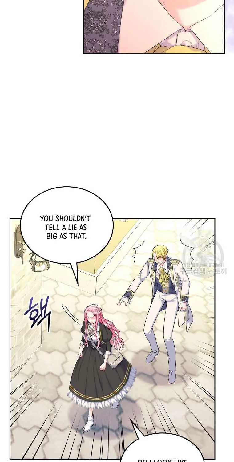 I Will Divorce the Female Lead’s Siscon Brother Chapter 5 page 13 - 