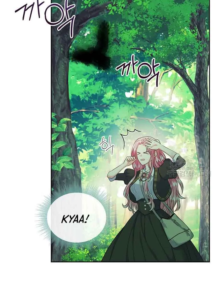 I Will Divorce the Female Lead’s Siscon Brother Chapter 5 page 36 - 