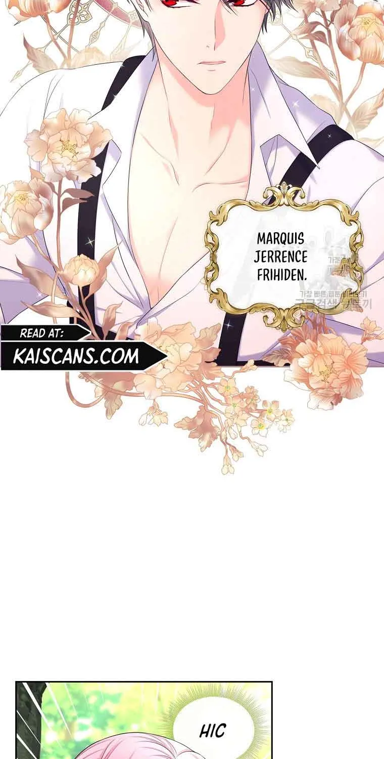I Will Divorce the Female Lead’s Siscon Brother Chapter 5 page 45 - 