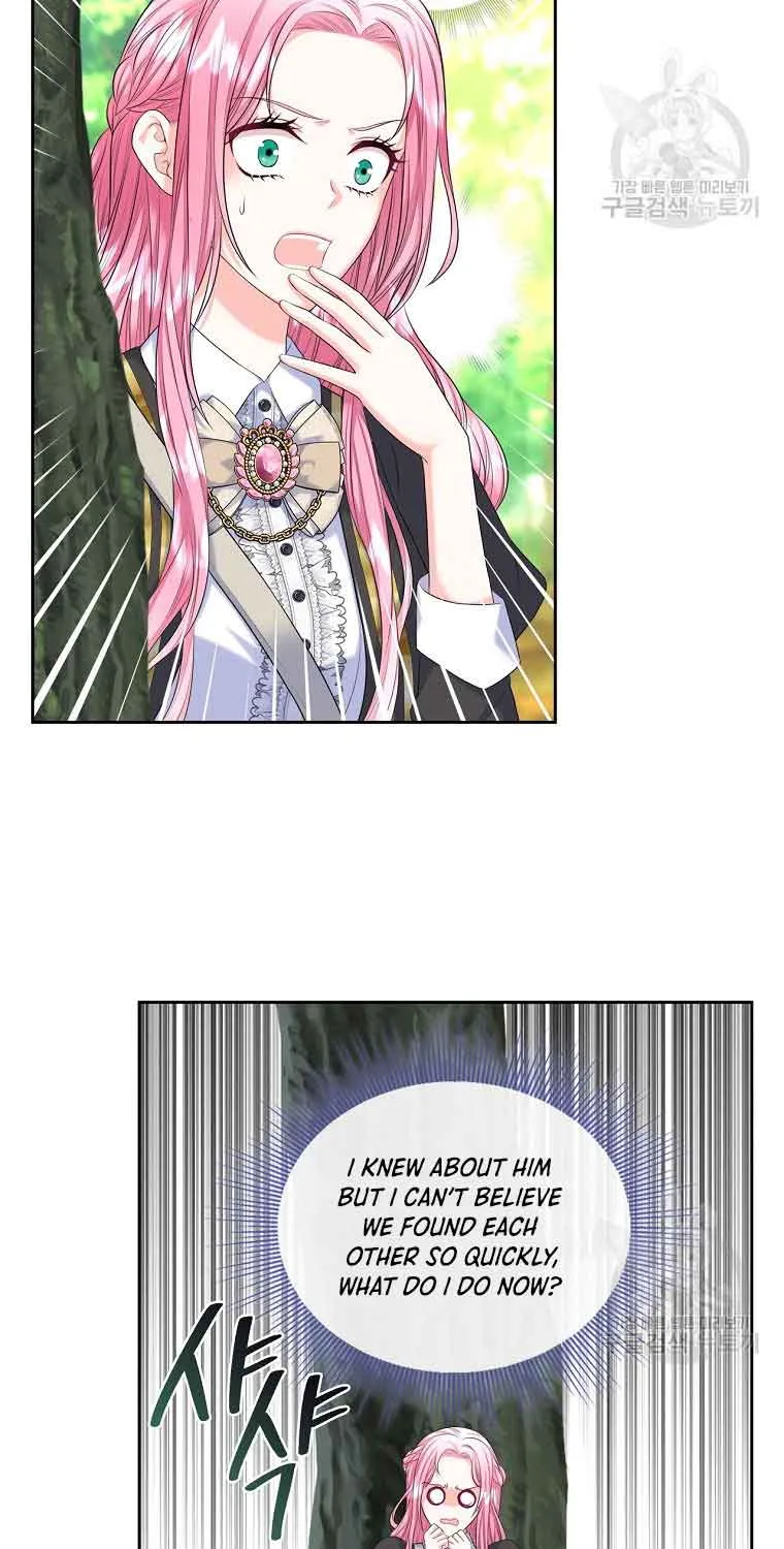I Will Divorce the Female Lead’s Siscon Brother Chapter 5 page 46 - 
