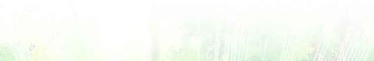 I Will Divorce the Female Lead’s Siscon Brother Chapter 5 page 57 - 