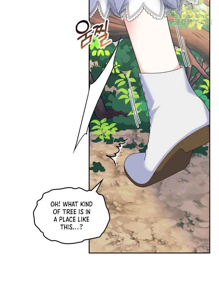 I Will Divorce the Female Lead’s Siscon Brother Chapter 6 page 20 - 
