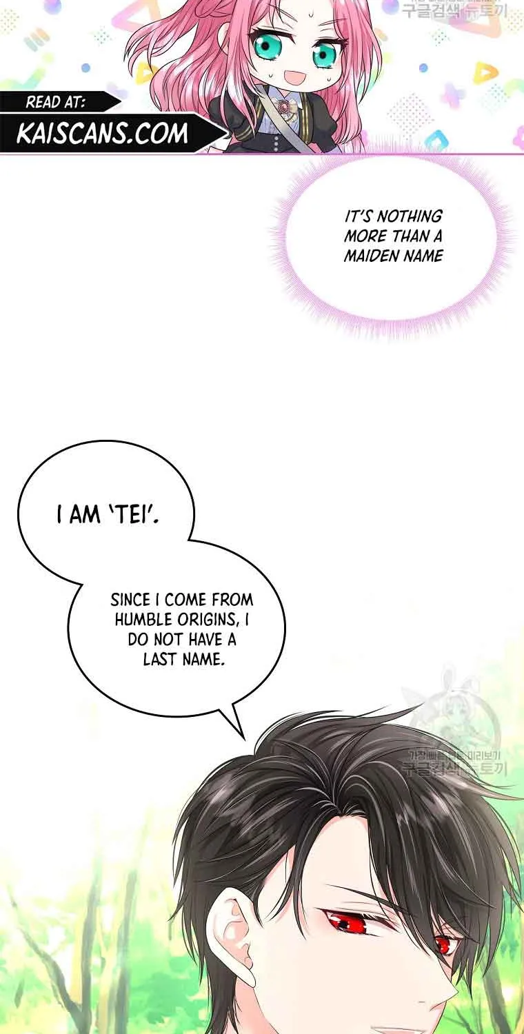 I Will Divorce the Female Lead’s Siscon Brother Chapter 6 page 38 - 