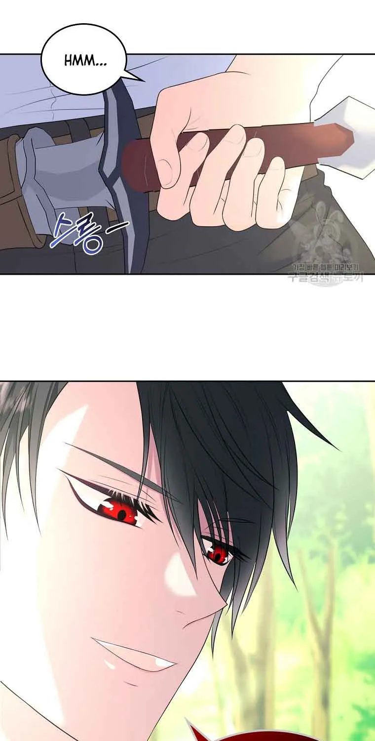 I Will Divorce the Female Lead’s Siscon Brother Chapter 6 page 5 - 