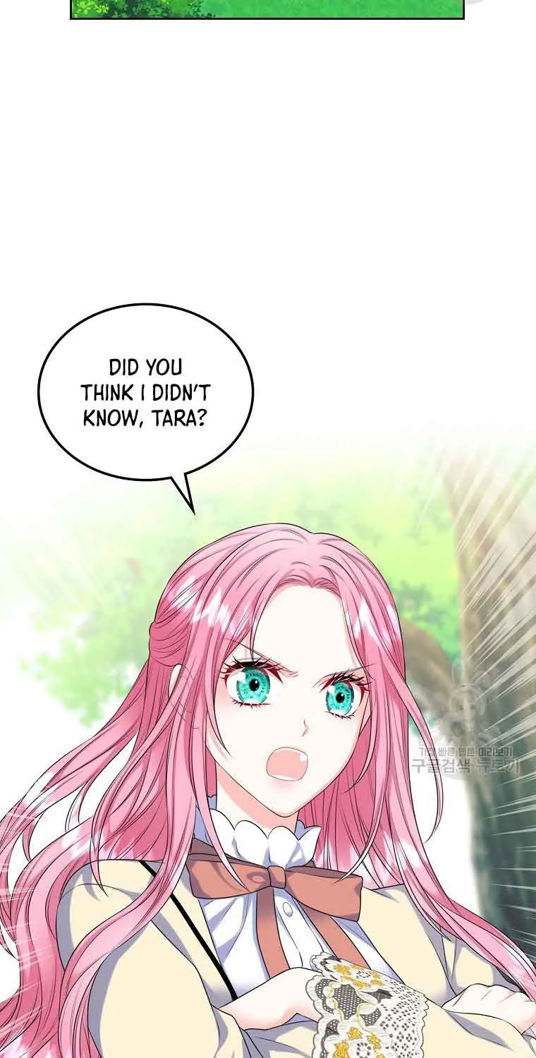 I Will Divorce the Female Lead’s Siscon Brother Chapter 7 page 48 - 