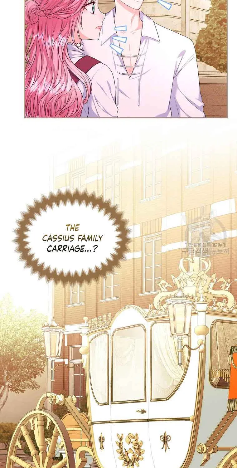 I Will Divorce the Female Lead’s Siscon Brother Chapter 8 page 73 - 