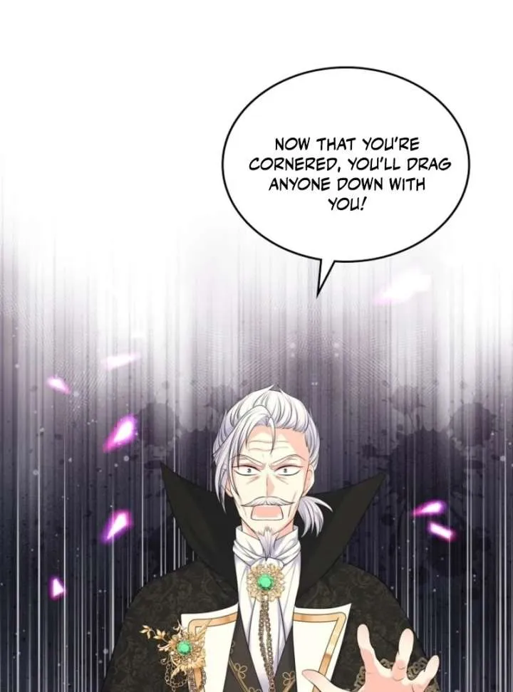 I Will Divorce the Female Lead’s Siscon Brother Chapter 82 page 17 - 
