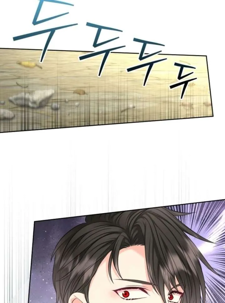 I Will Divorce the Female Lead’s Siscon Brother Chapter 82 page 29 - 